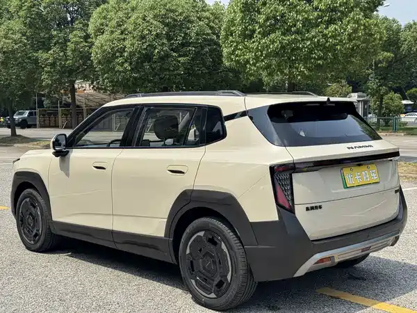 Dongfeng Nano 06 2025