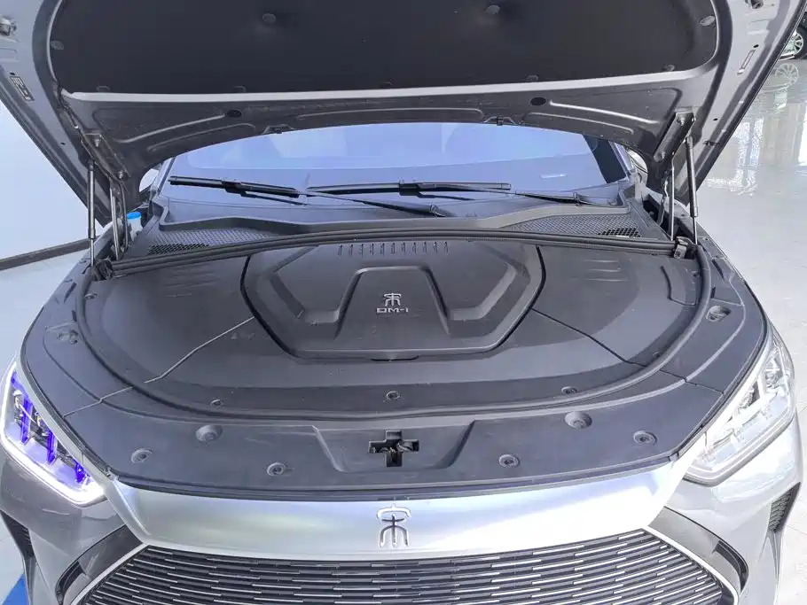 BYD Song PLUS New Energy 2023 — фото 10