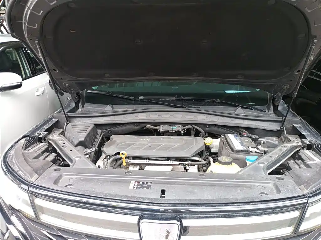 Roewe RX5 MAX 2021 — фото 13