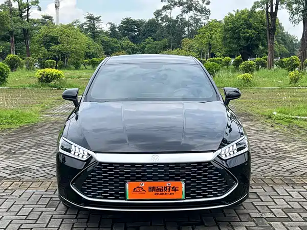 BYD Qin PLUS 2024