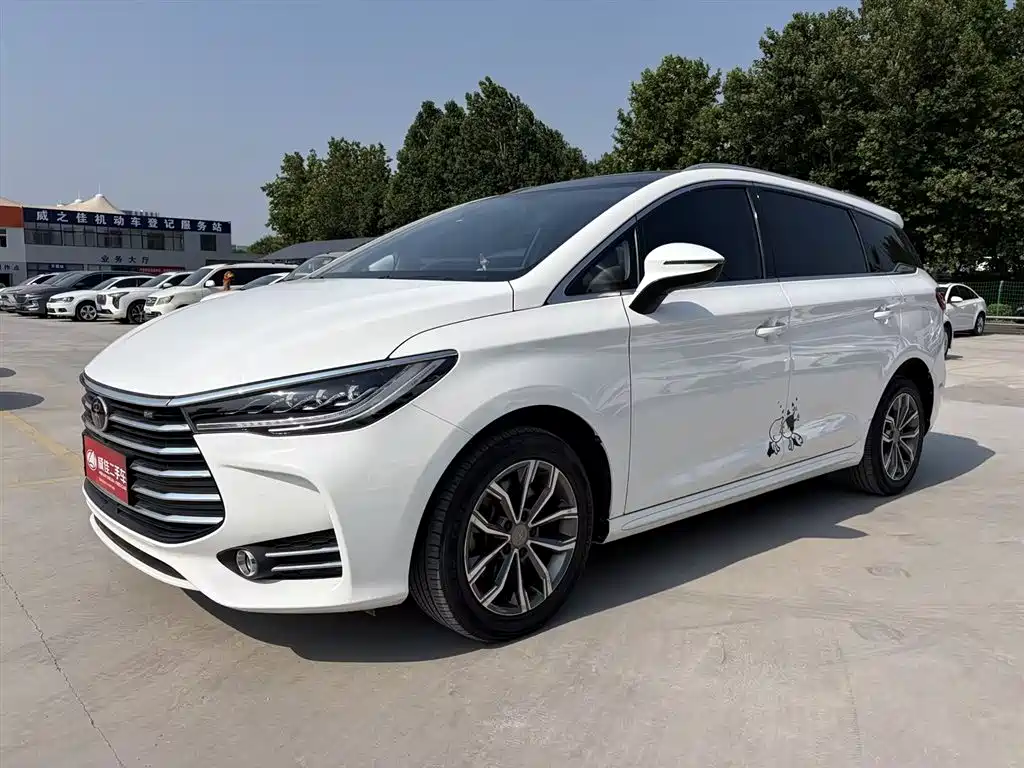 BYD MAX 2020