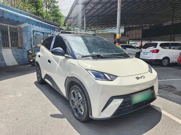 BYD Seagull 2024