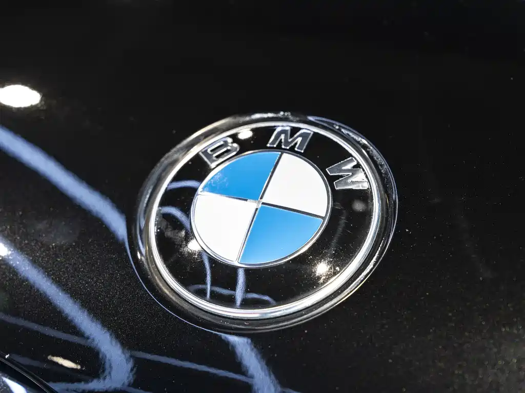 BMW 5 Series New Energy 2019 — фото 9