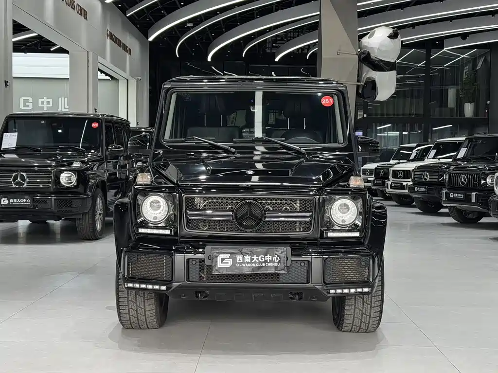 Mercedes-Benz G-Class 2017 — фото 2