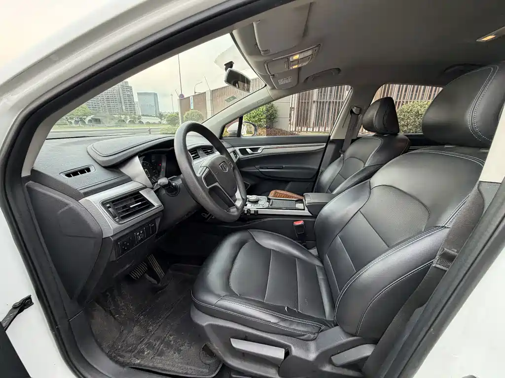 Geely Emgrand Gse 2020 — фото 9