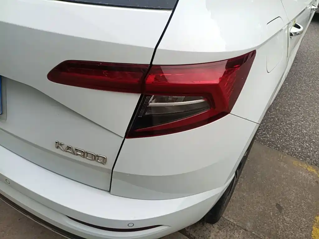 Skoda Karoq 2024 — фото 24