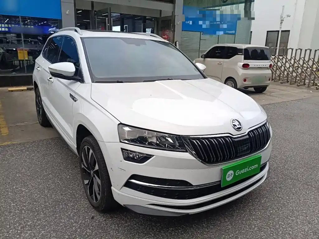Skoda Karoq 2024 — фото 22