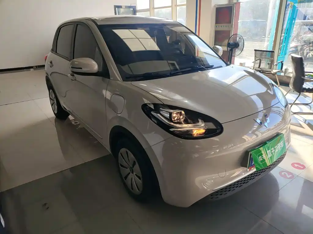 Wuling Bingo 2024