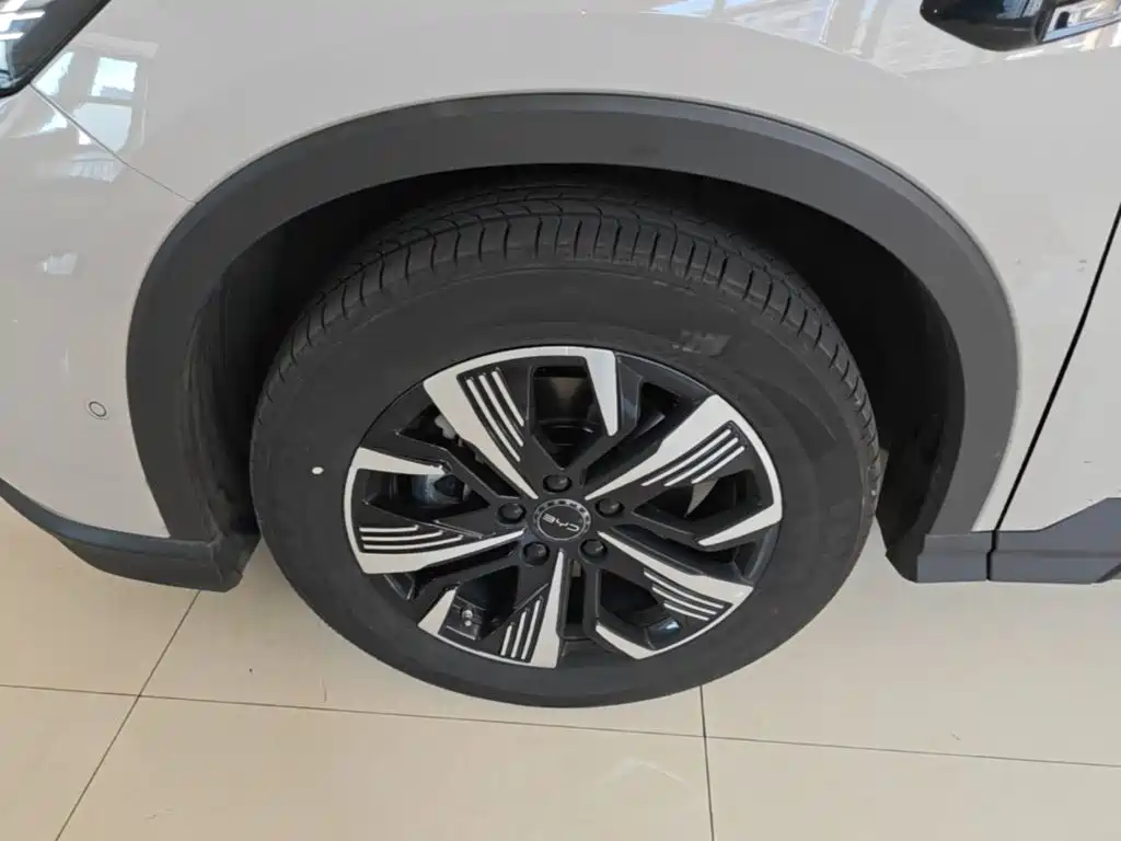 BYD Sealion 05 DM-i 2025 — фото 23