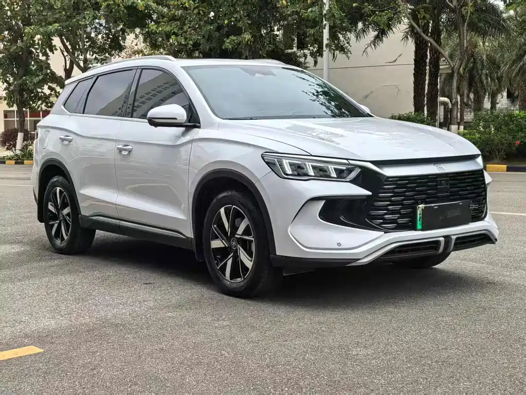 BYD Pro New Energy 2025 — фото 3