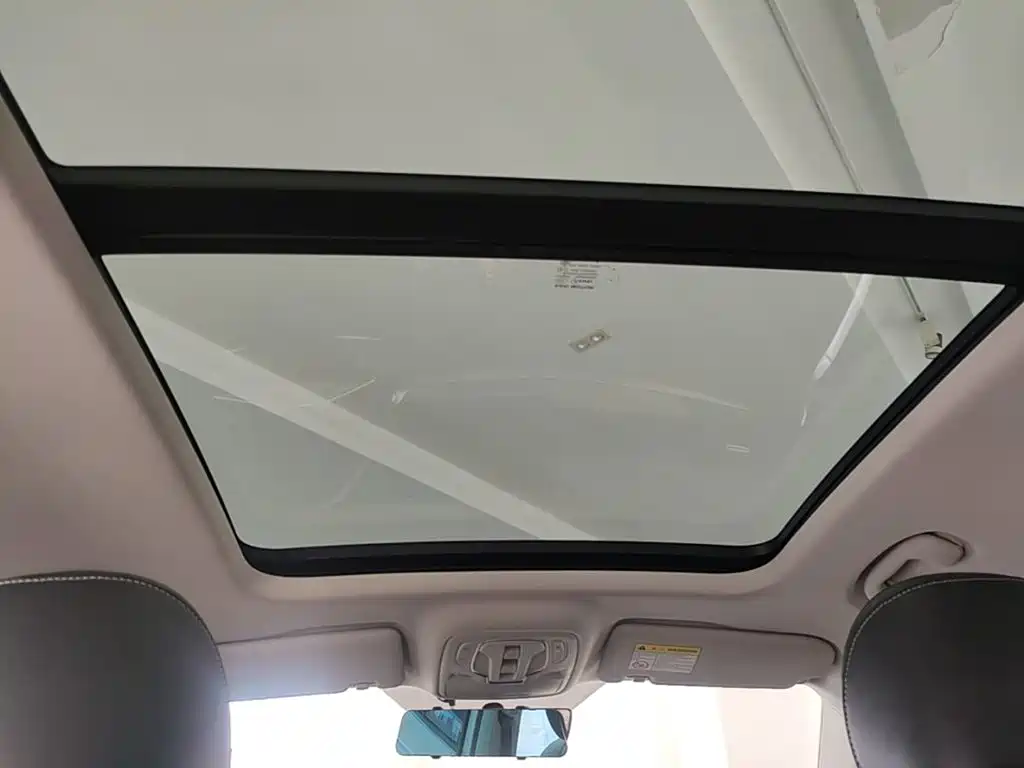 Roewe RX5 MAX 2023 — фото 18