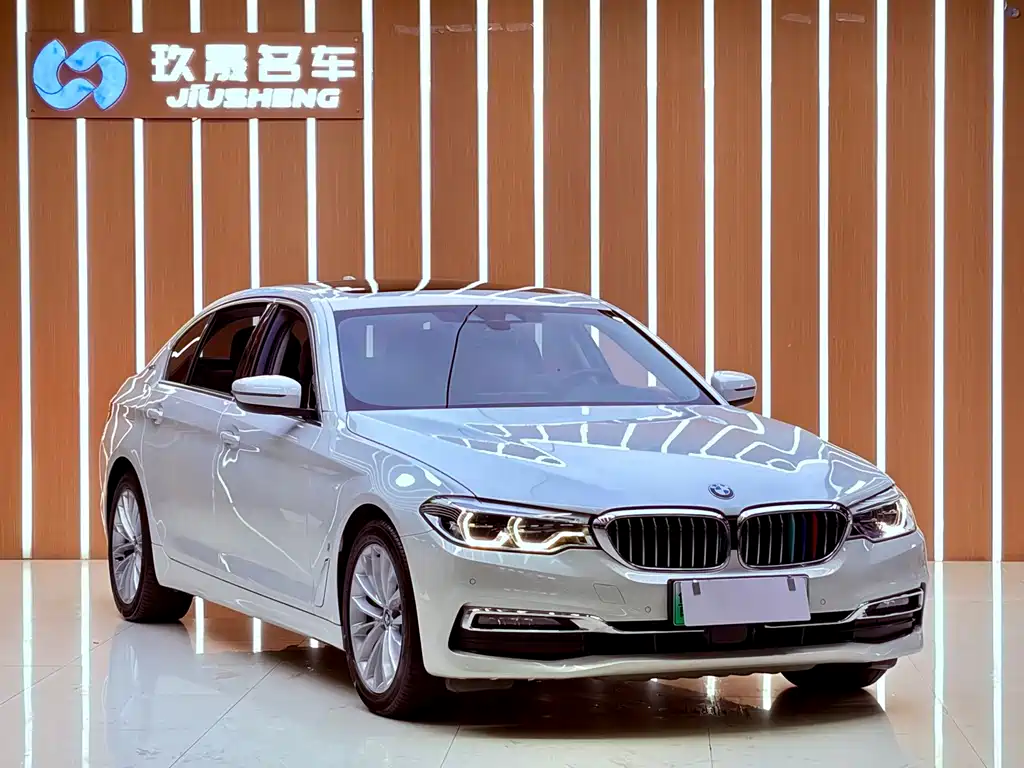 BMW 5 Series New Energy 2019