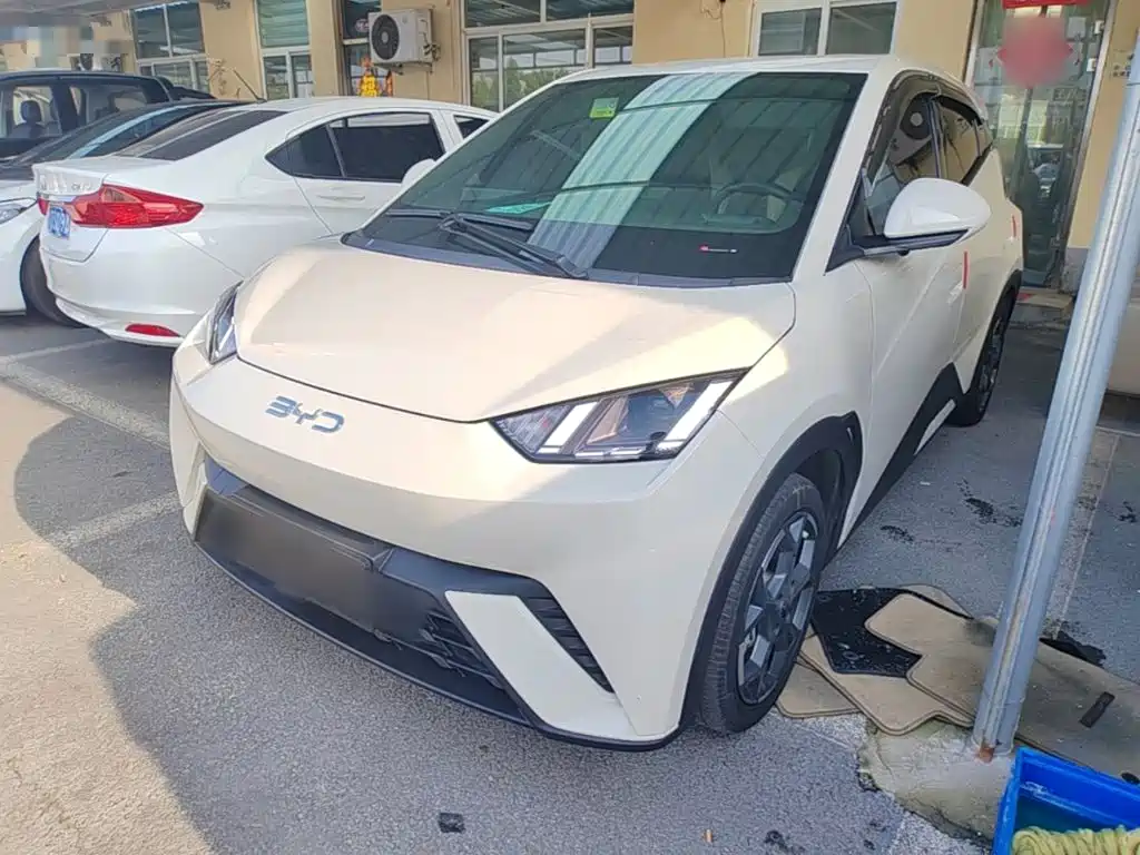 BYD Seagull 2025