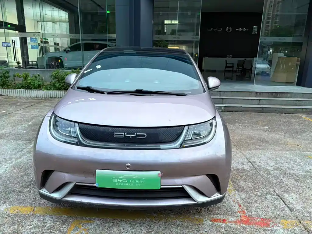 BYD Dolphin 2022