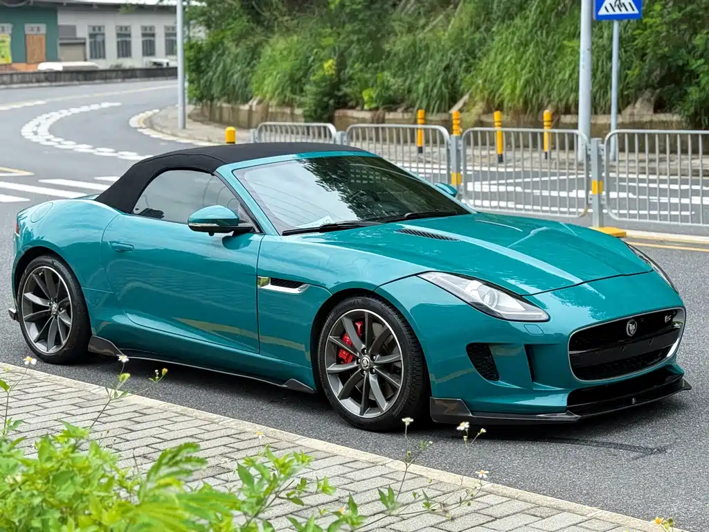 Jaguar F-TYPE 2014 — фото 18
