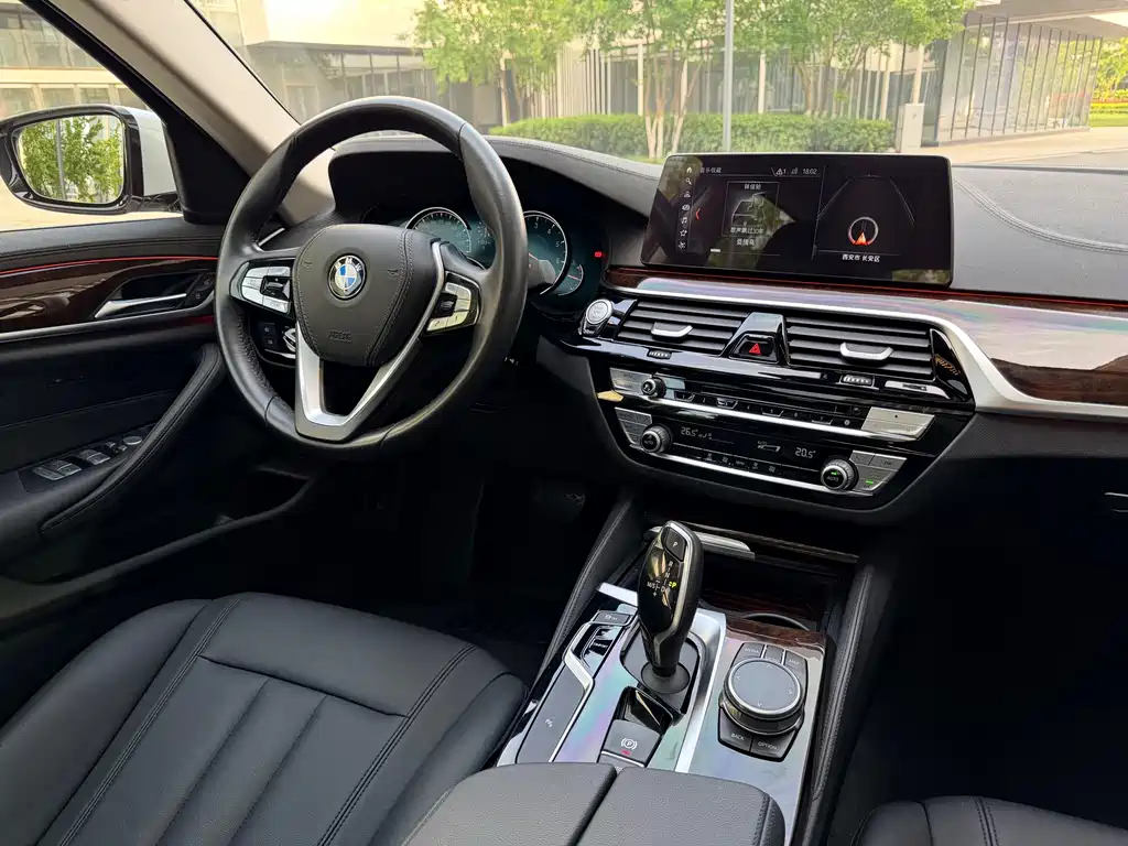 BMW 5 Series 2018 — фото 15
