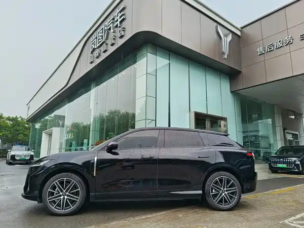 Voyah Zhiyin 2025