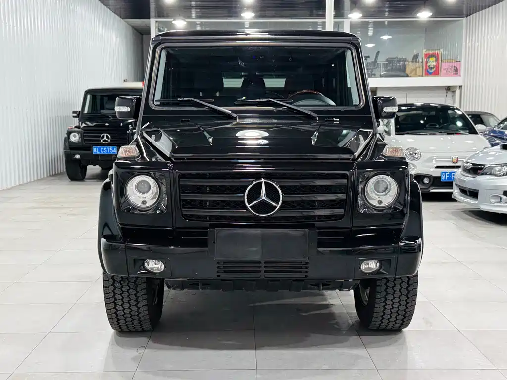 Mercedes-Benz G-Class 2010 — фото 2