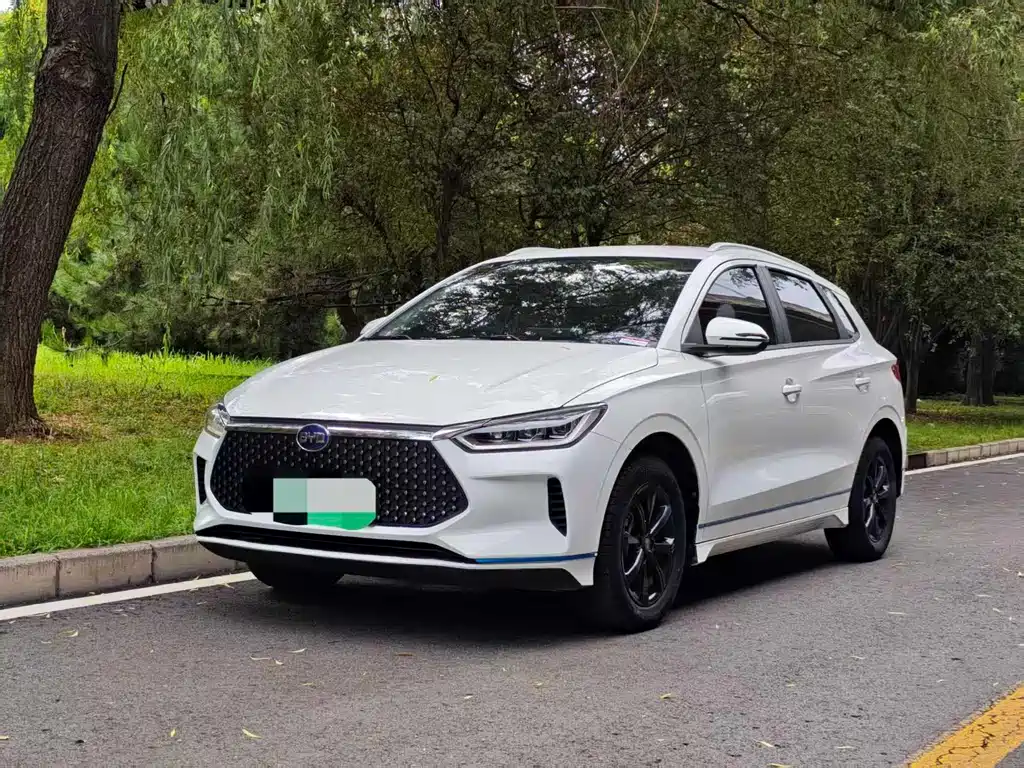 BYD e2 2019