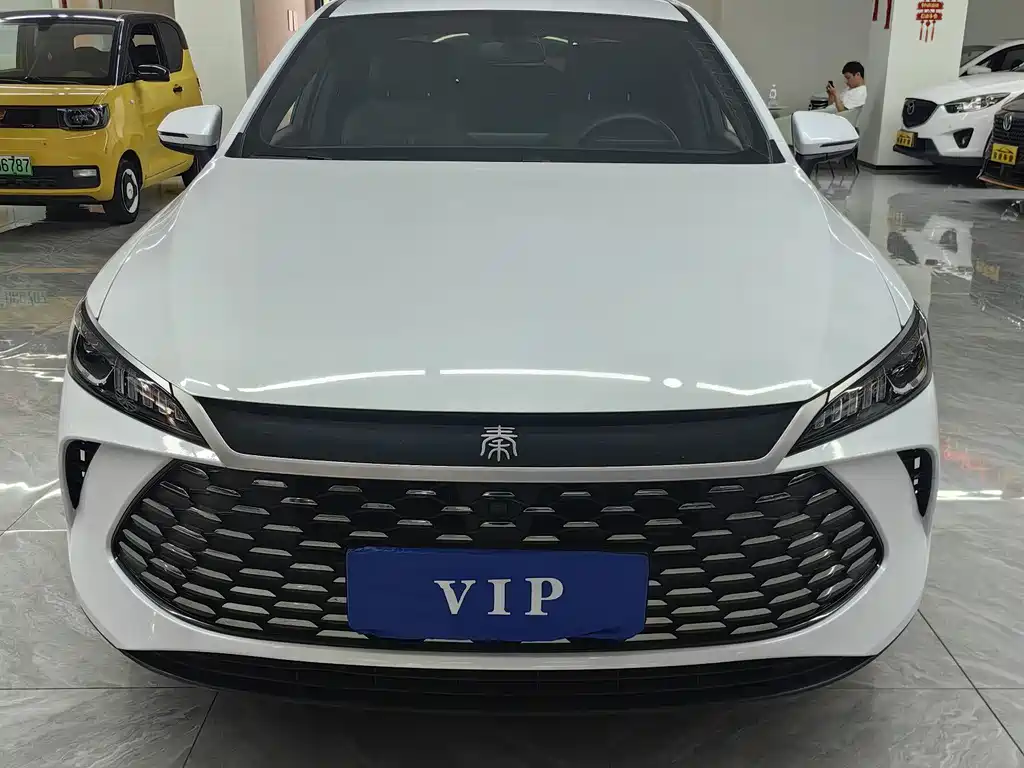 BYD Qin PLUS 2025 — фото 2