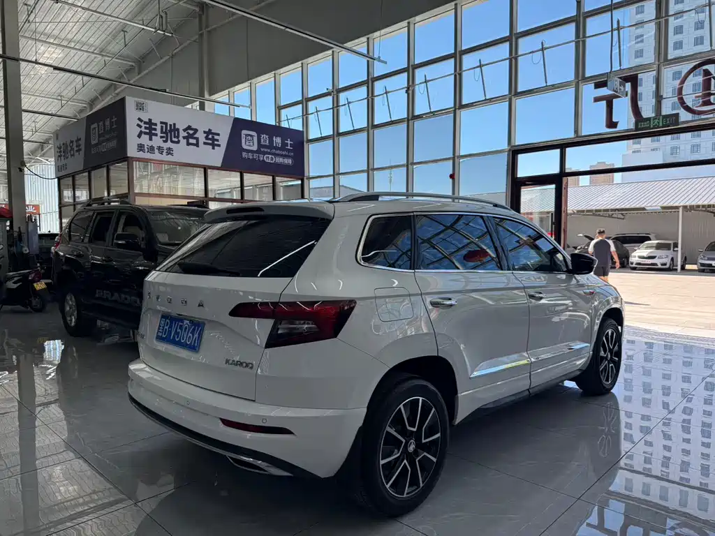 Skoda Karoq 2023 — фото 9