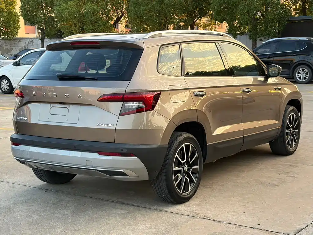 Skoda Karoq 2021 — фото 4
