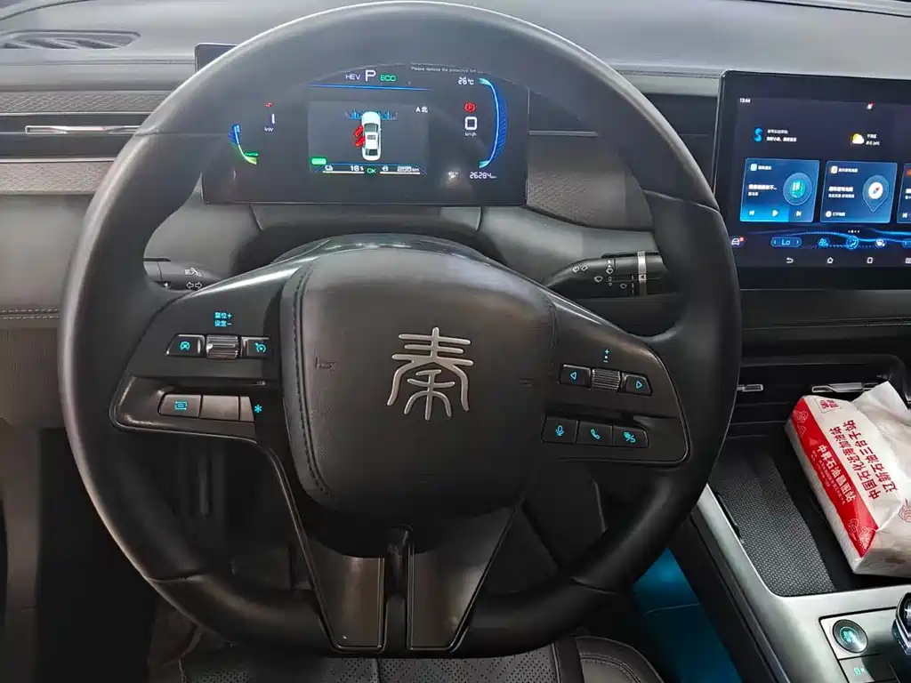 BYD Qin PLUS 2025 — фото 13