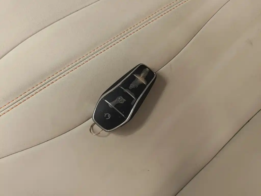 BYD Song Pro New Energy 2024 — фото 9