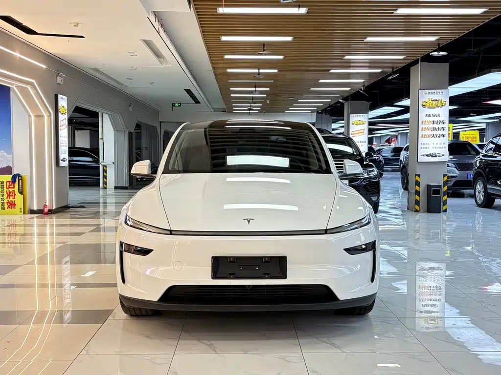 Tesla Model Y 2025 — фото 1