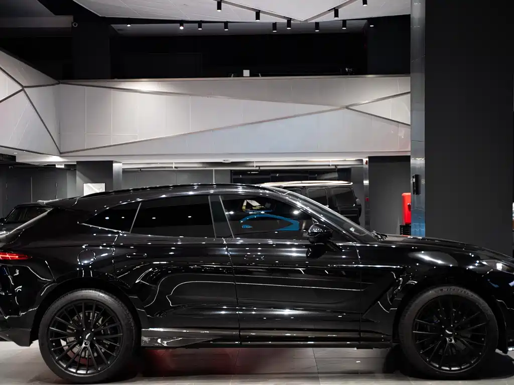 Aston Martin DBX 2021 — фото 15