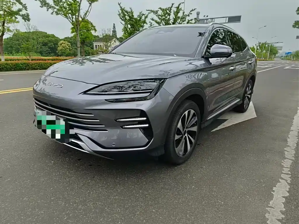 BYD PLUS New Energy 2024 — фото 1