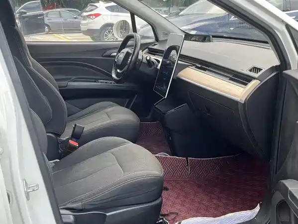 Neta V 2020