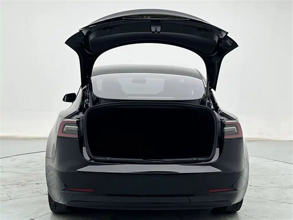Tesla Model 3 2023 — фото 12
