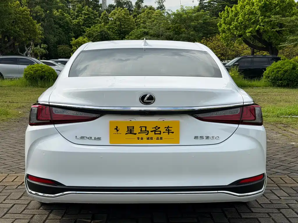 Lexus ES 2019 — фото 16