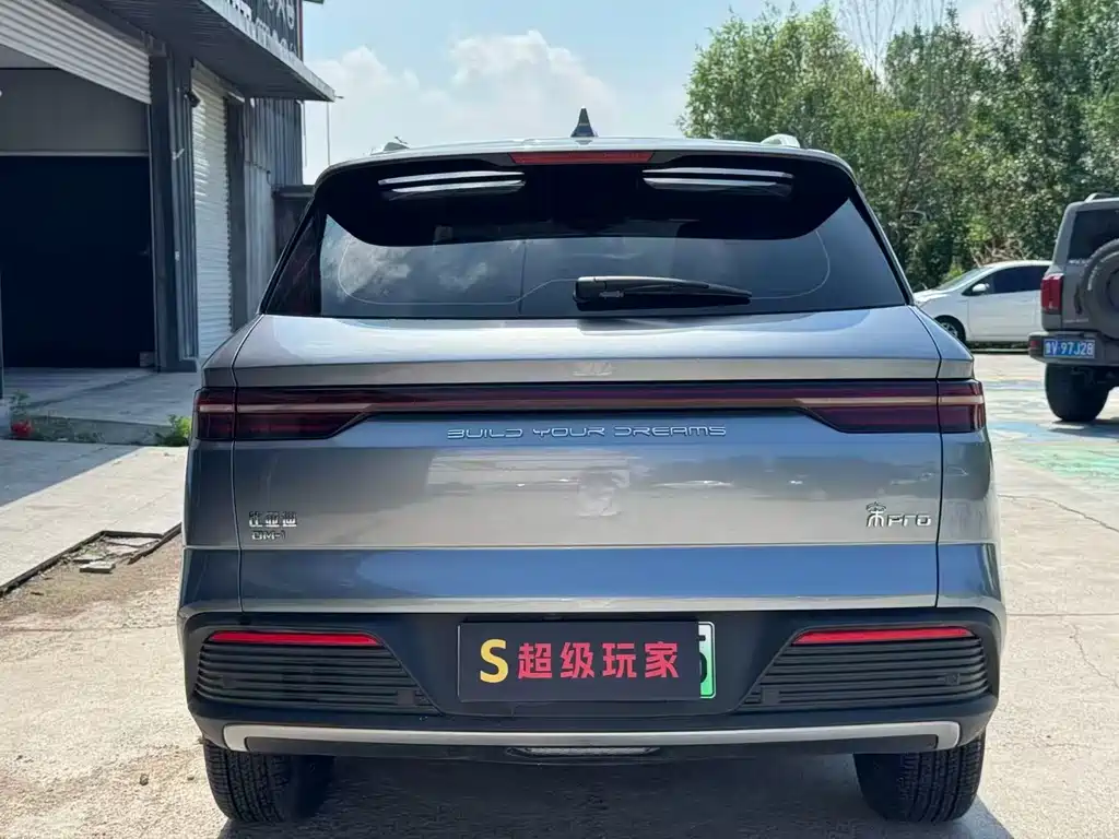 BYD Pro New Energy 2024 — фото 8