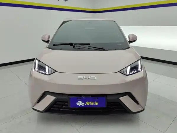 BYD Seagull 2024