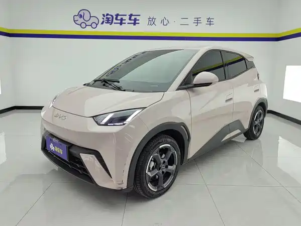 BYD Seagull 2024