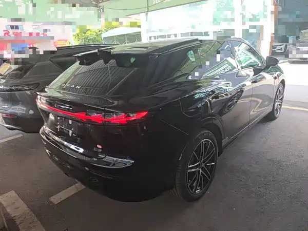 Voyah Zhiyin 2025