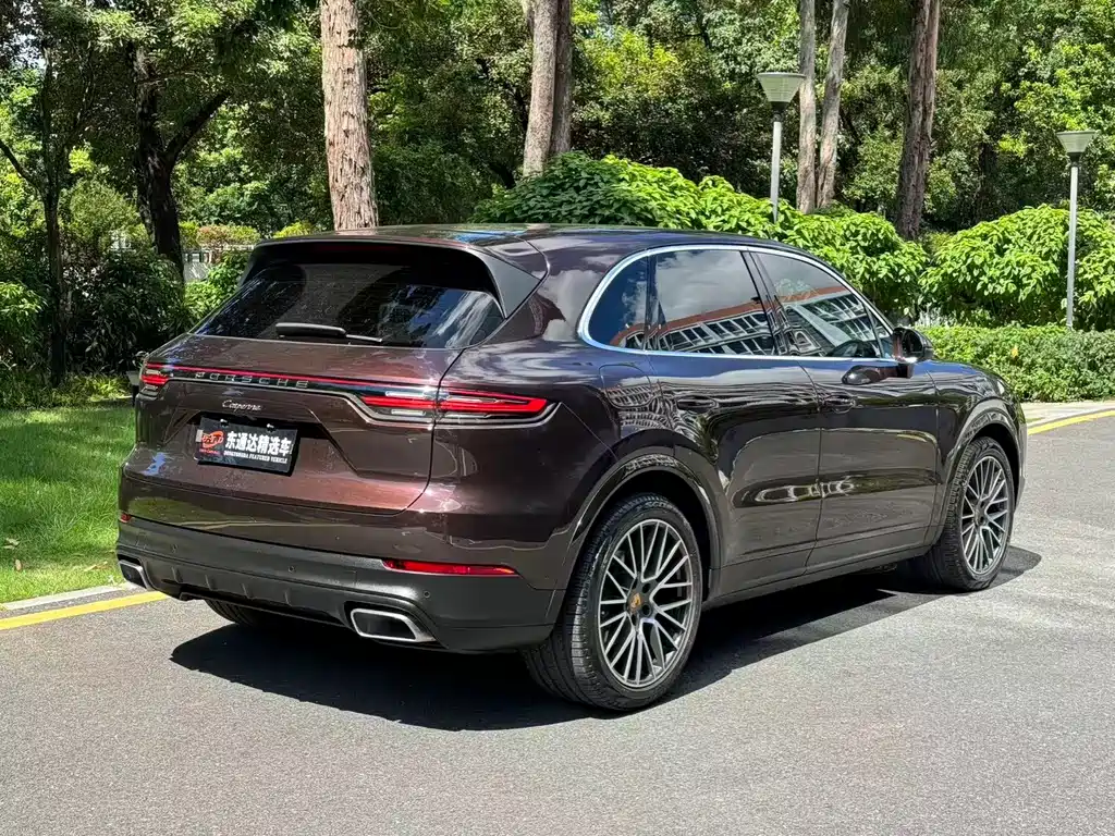 Porsche Cayenne 2020 — фото 16