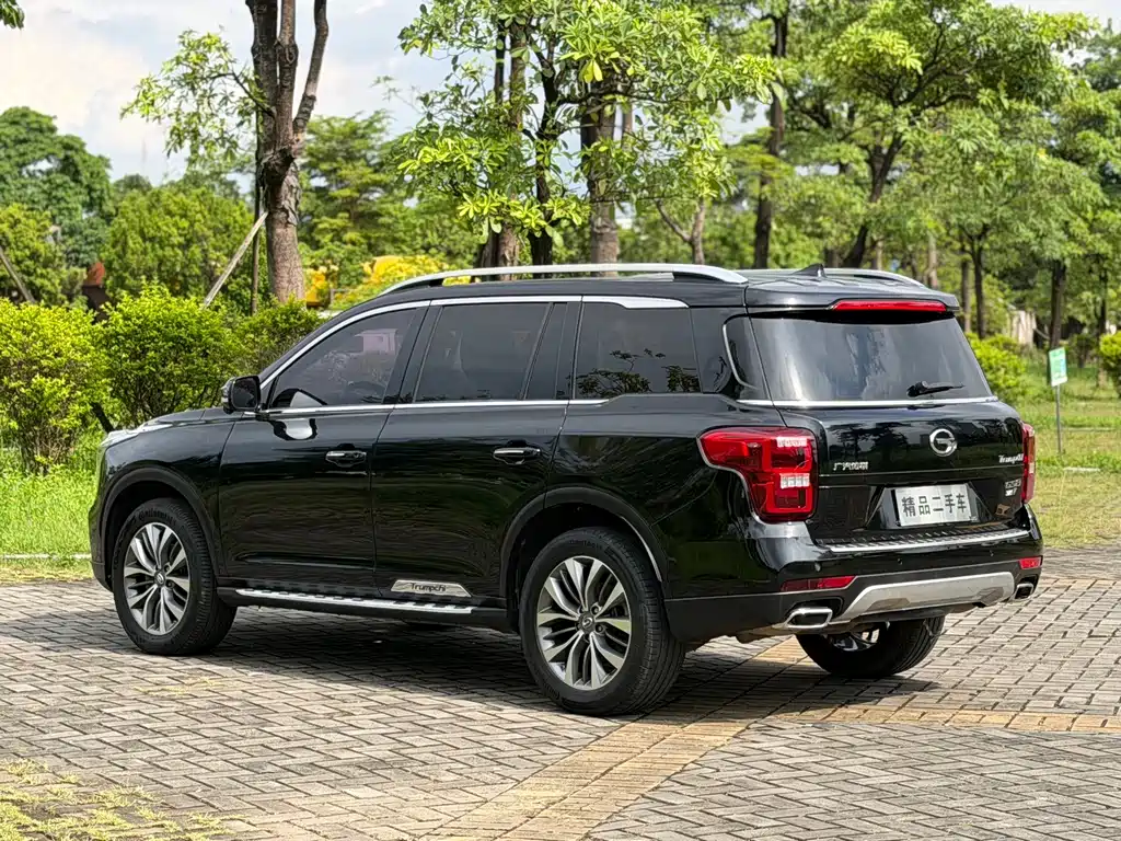 GAC Trumpchi GS8 2019 — фото 12