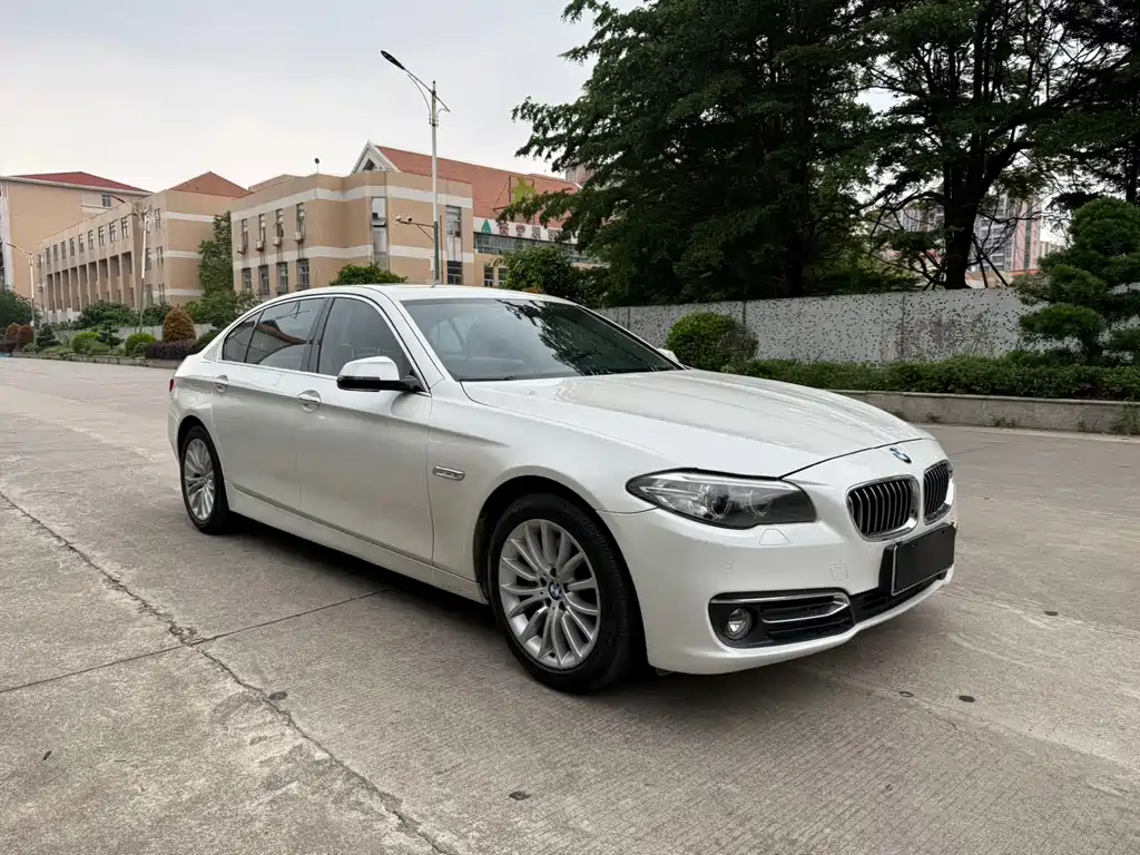 BMW 5 Series 2014 — фото 3