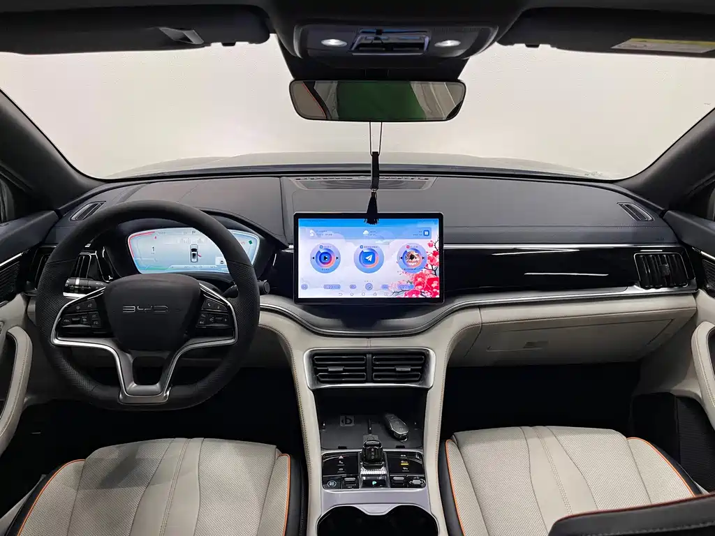 BYD Song PLUS New Energy 2024 — фото 8