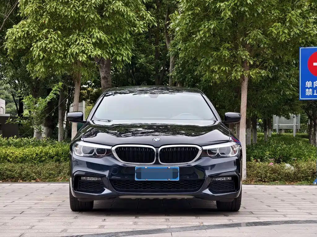 BMW 5 Series 2019 — фото 2