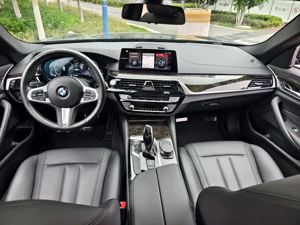 BMW 5 Series 2019 — фото 6