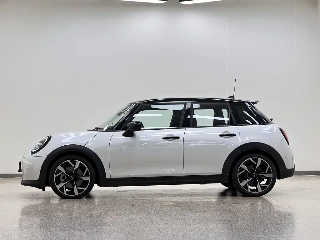 MINI MINI 2024