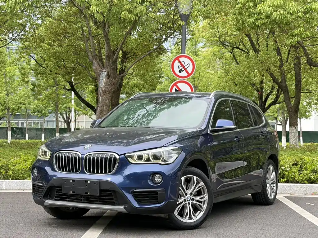 BMW X1 2019 — фото 1