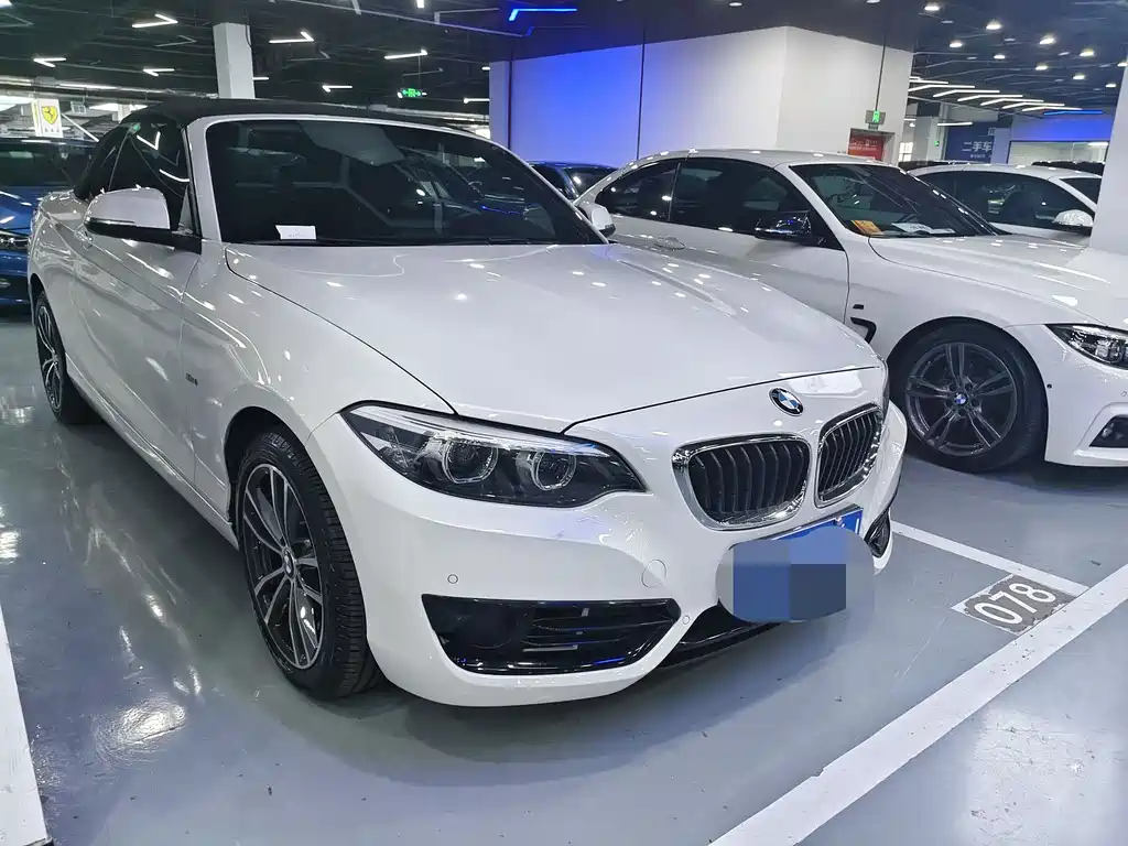 BMW 2 Series 2018