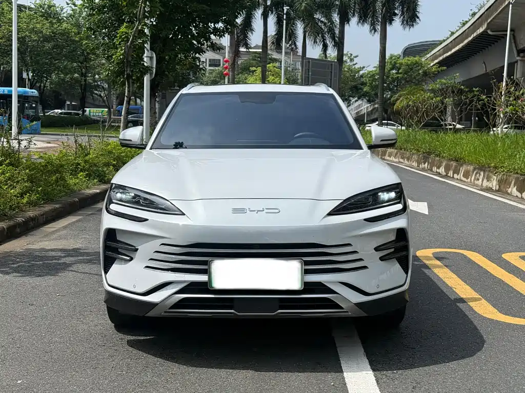 BYD PLUS New Energy 2024 — фото 2