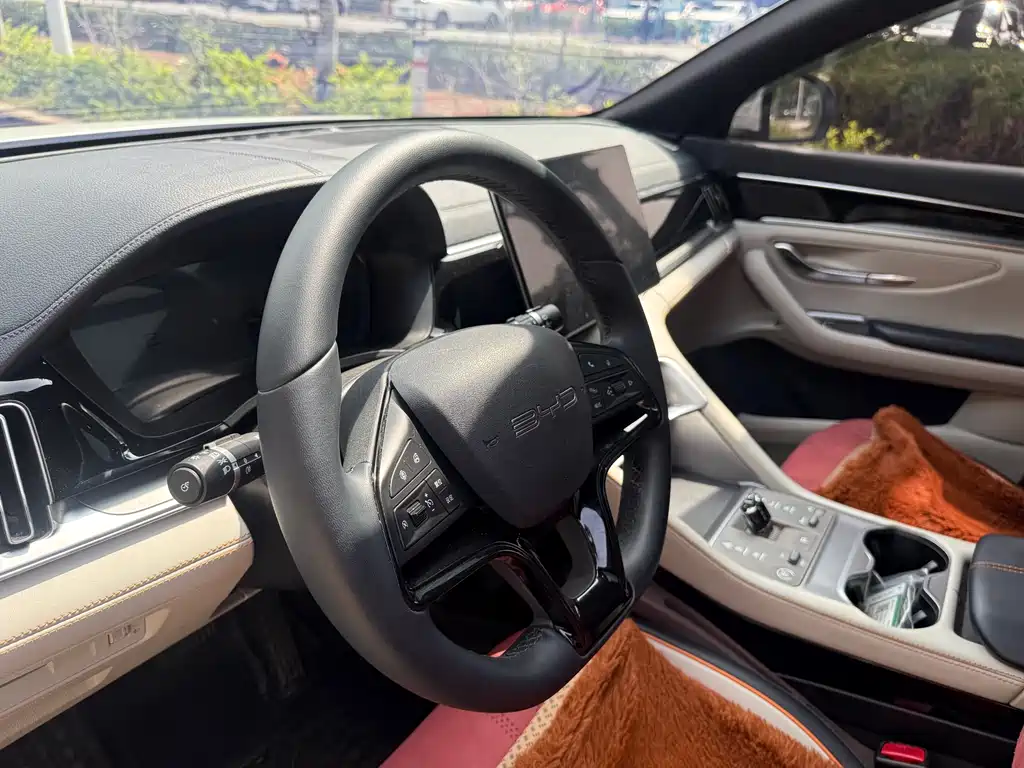 BYD PLUS New Energy 2024 — фото 12
