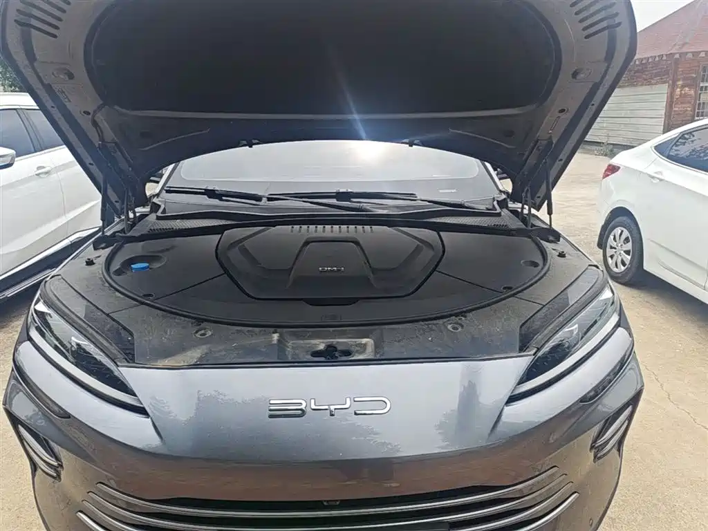 BYD PLUS New Energy 2024 — фото 20